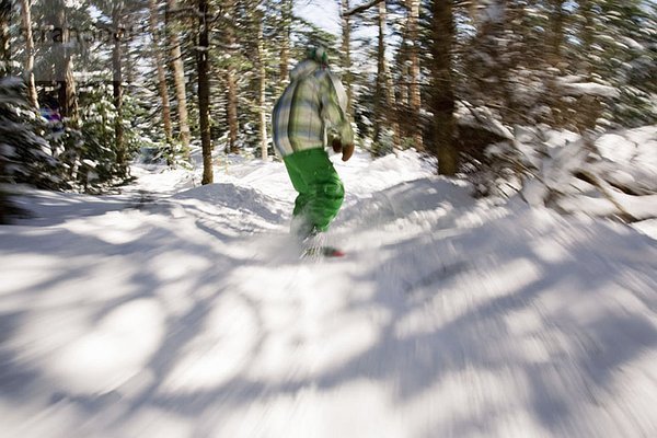 Rückansicht eines Jungen beim Snowboarden zwischen Bäumen  Stratton  Vermont  USA