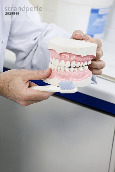 Detail eines Zahnarztes mit Modellzähnen und Zahnbürste