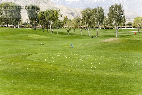 Golfbälle auf und um ein Putting Green  Palm Springs  Kalifornien  USA