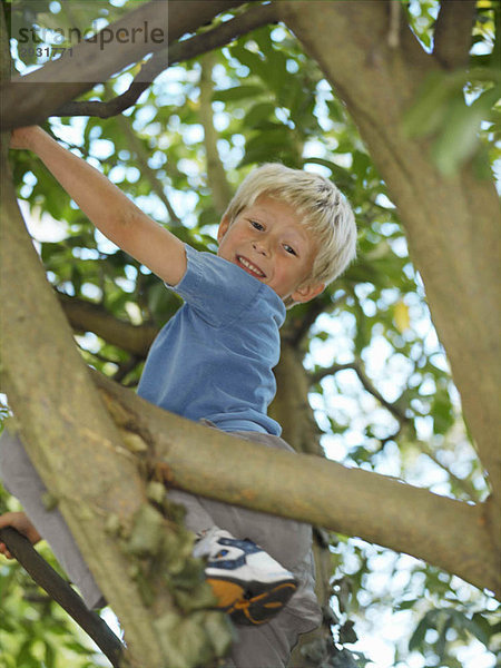 Junge  7 spielend im Baum