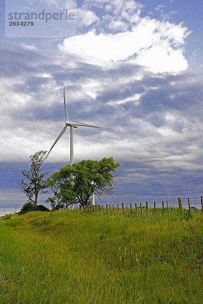 Wind turbine in country setting  Tiverton  Bruce Peninsula  Ontario