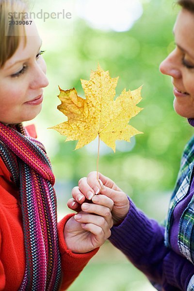 Mutter Tochter und Herbst Leaf Schweden.