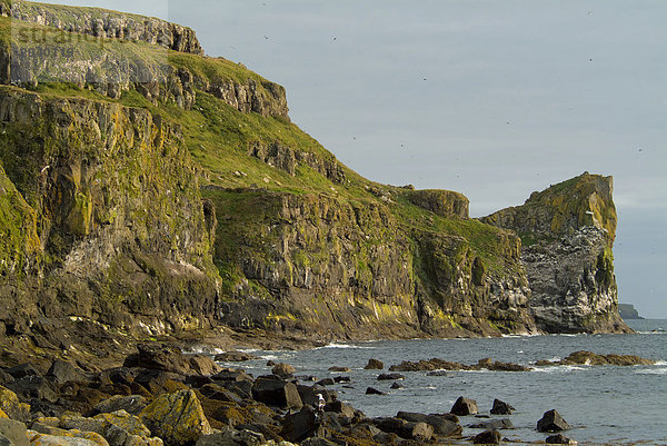 Felsküste von Lunga  Treshnish Isles  Großbritannien