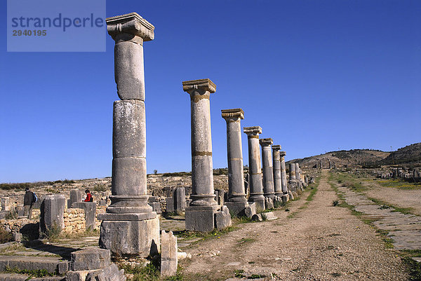Ruinen der antiken Römerstadt Volubilis  Marokko  Afrika