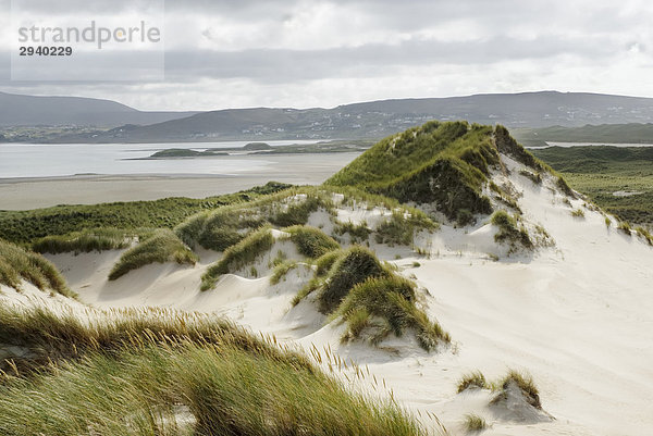 Mit Seggen bewachsene Sanddünde an der Nordküste von Co Donegal vor Schauerbewölkung  Irland