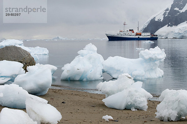 Kreuzfahrtschiff  Neko Harbour  Antarktis