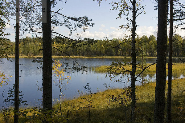 Moorsee  Tiilikkajärvi Ntl. Park  Finnland