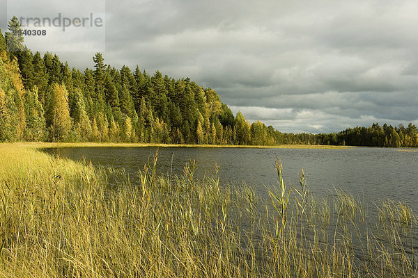 Moorsee  Leivonmäki Ntl. Park  Finnland