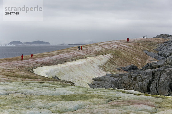 Reisende erforschen Ridge von Eis farbig durch bakterielles Wachstum auf Petermann-Insel  Antarktis