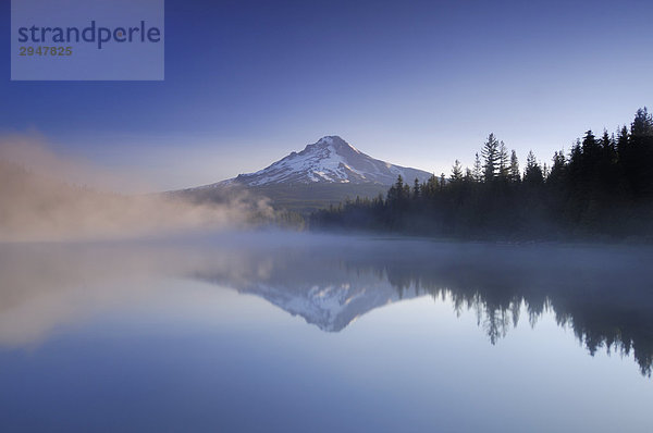 Mount Hood spiegelt sich in einem nebligen Trillium See  Oregon