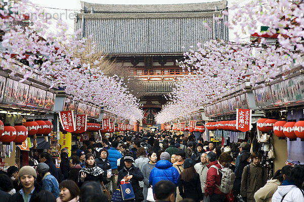 Nakamise Dori Avenue  dekoriert mit Papier Cherry Blossoms  Asakusa  Tokio  Japan
