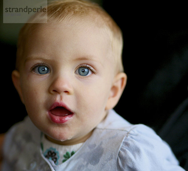 Close up Baby blue eyed  Victoria  British Columbia