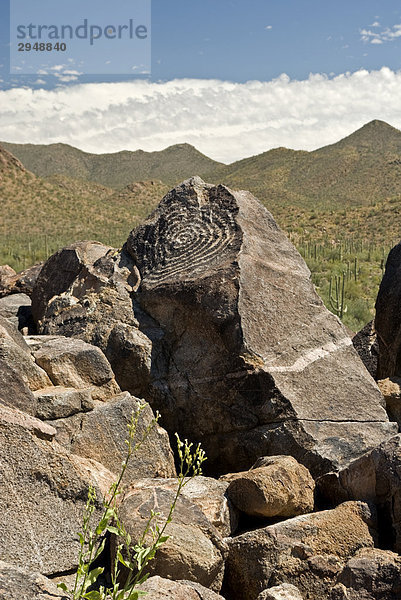 Signal Hill Petroglyph  Saguaro-Nationalpark West  Tucson  Arizona