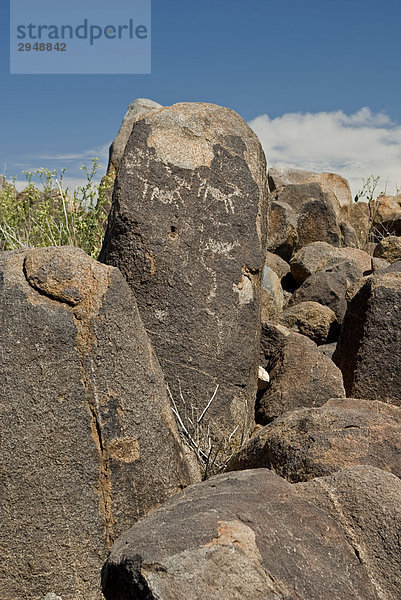 Signal Hill Petroglyph  Saguaro-Nationalpark West  Arizona