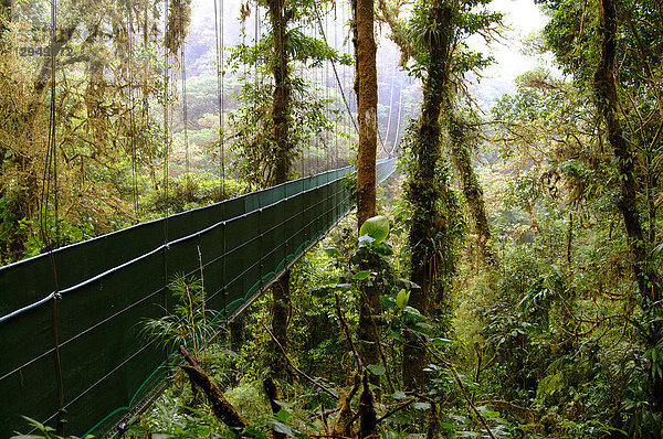 Walking Brücke in der Monteverde Nebelwald  Costa Rica