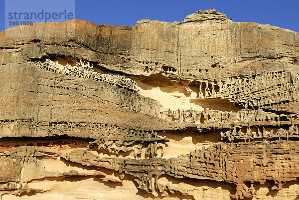 Sandstein-Strukturen im Rainbow Valley  Kalbarri Coast National Park  WA  Australien