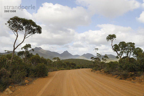 Einsame Straße in den Stirling Ranges  Stirling Range National Park  Western Australia  Australien