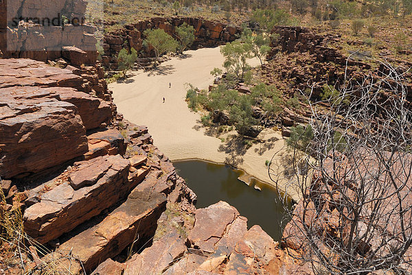 Blick in die Schlucht des Trephina Creek  Trephina Nature Park  Northern Territory  Australien