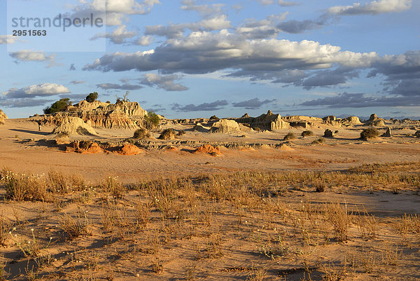 Abendstimmung in den versteinerten Sanddünen des Mungo National Park  New South Wales  Australien
