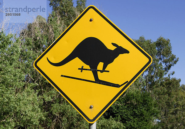 Känguruh auf Skiern  Verkehrsschild  Hinweisschild  von einem Witzbold verfremdet  Bendigo  Victoria  Australien