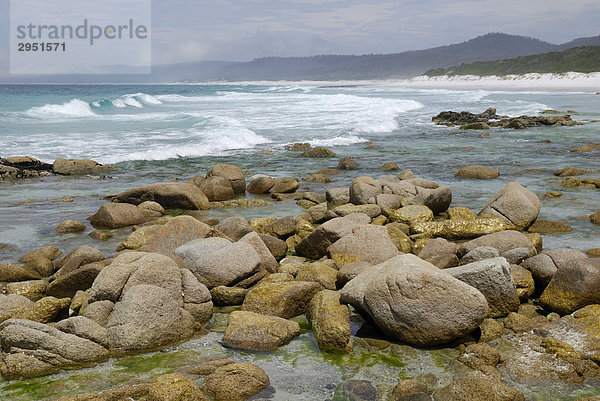 Küstenlandschaft mit Fels- und Gesteinsformation  Friendly Beaches  zwischen Bicheno und Coles Bay  Tasmanien  Australien