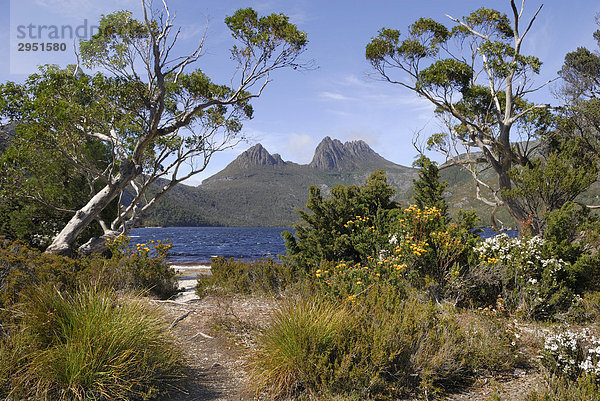 Cradle Mountain am Dove Lake  Cradle Mountain Lake St. Clair National Park  Tasmanien  Australien