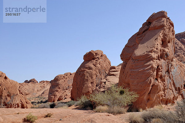 Sandsteinformation  rot  rippenartig  Valley of Fire State Park  nordöstlich von Las Vegas  Nevada  USA