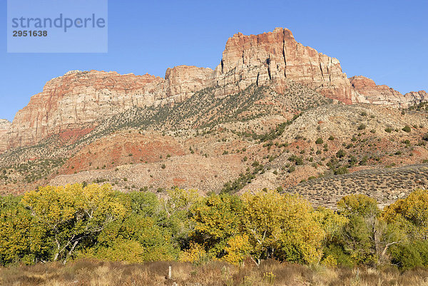 The Watchman  Springdale  Herbststimmung am Südeingang des Zion-Nationalpark  Utah  USA