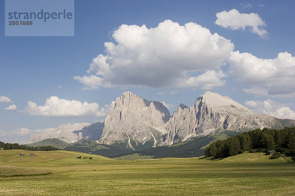 Langkofelgruppe  Dolomiten  Seiser Alm  Südtirol  Italien