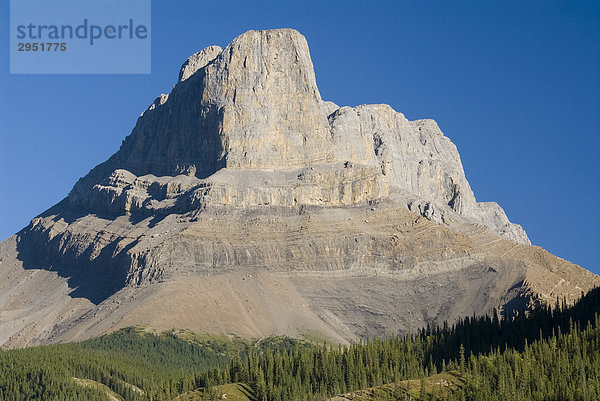 Gipfel des Roche Miette vom Athabasca Valley aus gesehen  Miette Range  Jasper Nationalpark  Alberta  Kanada