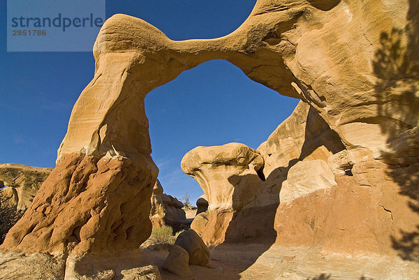 Sandsteinbogen Metate Arch im Abendlicht  Devils Garden  Grand Staircase - Escalante National Monument  Utah  USA