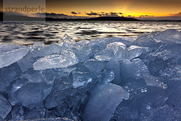 Das letzte Eis am Bodensee im März  Sonnenuntergang  mit Blick zur Insel Reichenau  Baden-Württemberg  Deutschland