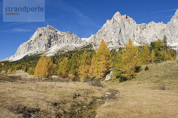 Herbst in den Dolomiten  Italien