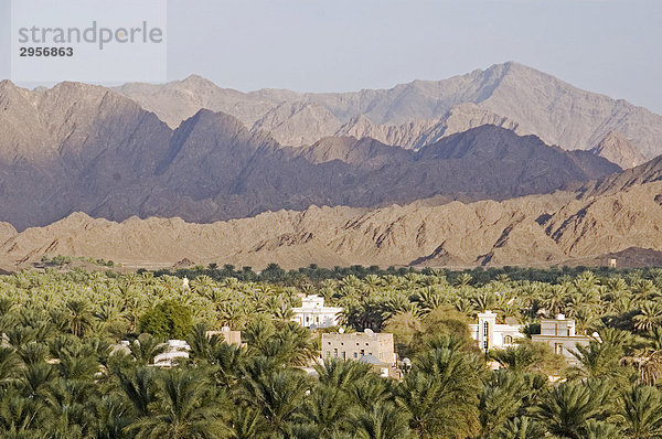 Oase von Rustaq Oman