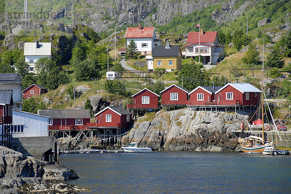 Rote Fischerhäuser  Rorbuer (Rorbu) Häuser auf Felsen  Lofoten  Norwegen