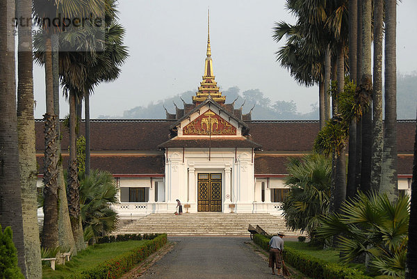 Eingang mit Allee aus Palmen  Königspalast Museum  Luang Prabang  Laos  Südostasien