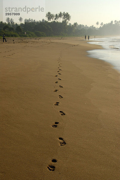 Menschliche Fußspuren barfuß  gerade Linie  Spuren im Sand  Strand von Talalla  Indischer Ozean  Ceylon  Sri Lanka  Südasien  Asien