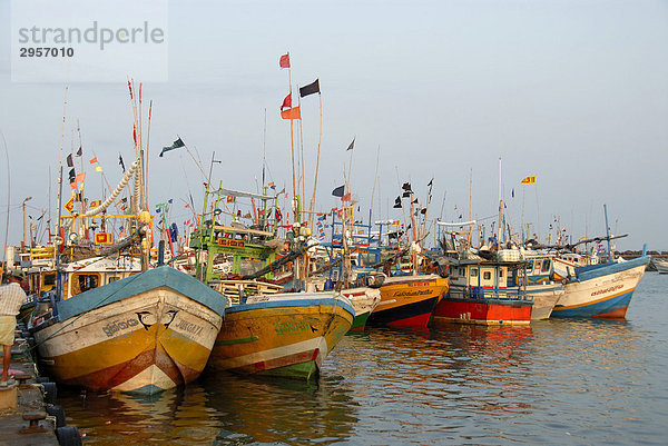 Bunte Fischerboote im Hafen von Dondra  Indischer Ozean  Ceylon  Sri Lanka  Südasien  Asien
