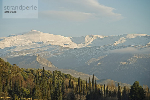 Umgebung von Granada dahinter die Sierra Nevada  Andalusien  Granada  Spanien