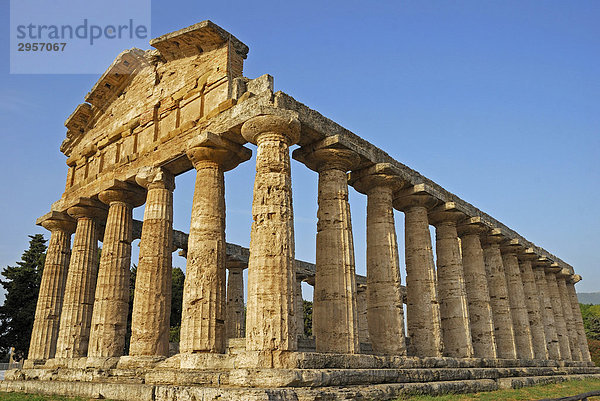 Paestum  Monument griechischer Baukunst  Provinz Salerno  Kampanien  Süditalien  Italien