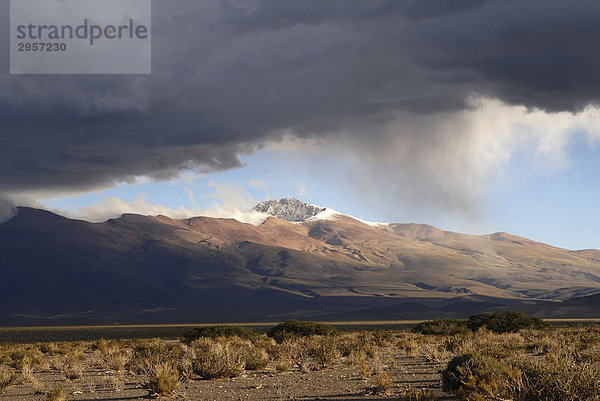 Schnee fällt aus tiefhängenden Wolken in der halbwüstenartigen Hochebene Puna  4000 m  Provinz Jujuy  Anden  Argentinien  Südamerika