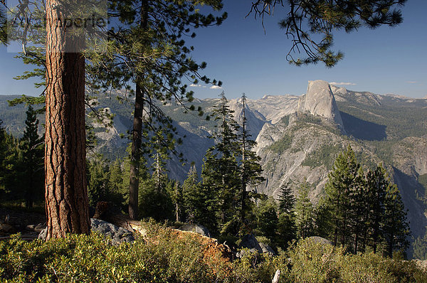 10850773  Usa  California  Blick vom Glacier Point