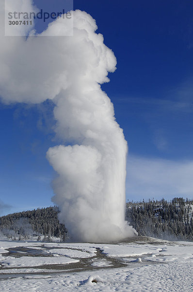 10850937  Usa  Wyoming  Old Faithful Geiser  ausbrechen