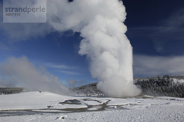 10850938  Usa  Wyoming  Old Faithful Geiser  ausbrechen