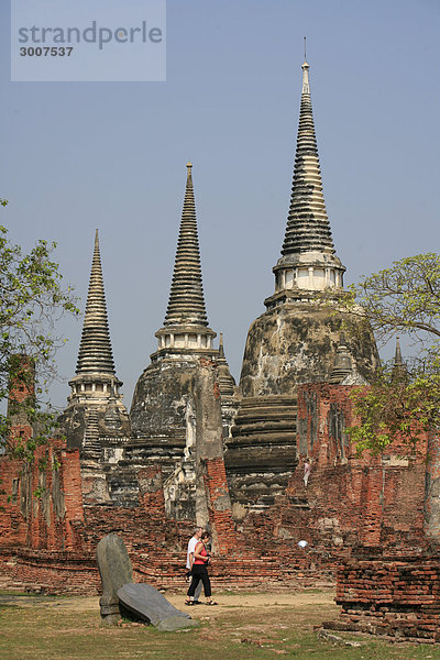 10852634  Thailand  Asien  Kultur  Ayutthaya  roya