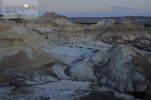 10856684  Kanada  Badlands  am Dinosaur Provincial