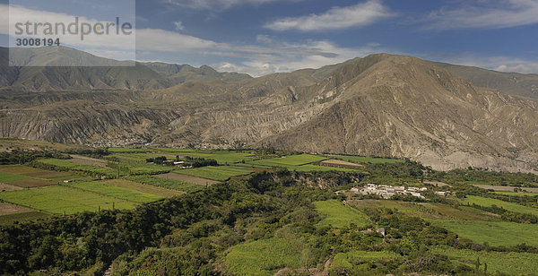 10856731  Ecuador  Tal Chota  Mascarilla Stadt