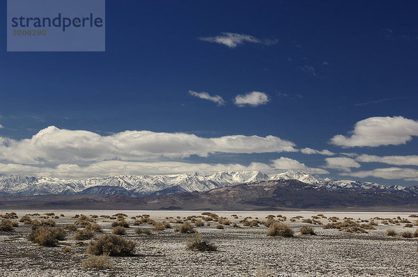 10857127  USA  Salz Wüste  Sierra Nevada  in der Nähe von Co