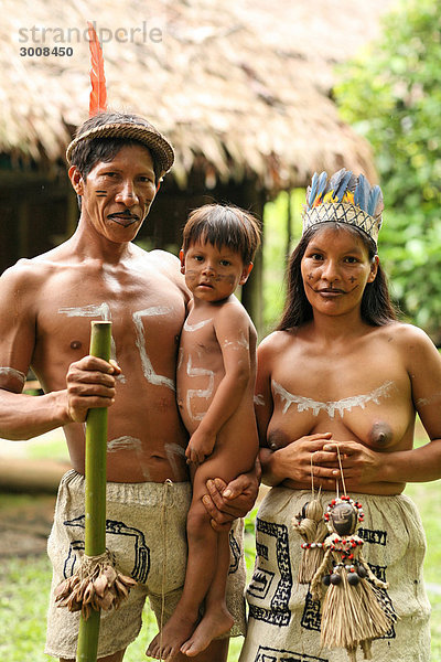 10857650  Pevas  Peru  Amazonas-Regenwald  Amazonien
