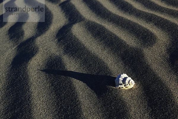Vereinigte Staaten von Amerika USA Nationalpark Muster Strand Wüste Sand Nordamerika Death Valley Nationalpark Kalifornien Schnittmuster